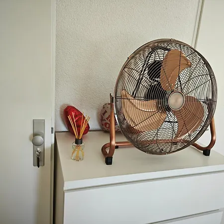 Gruenes Idyll Im Herzen Koelns *