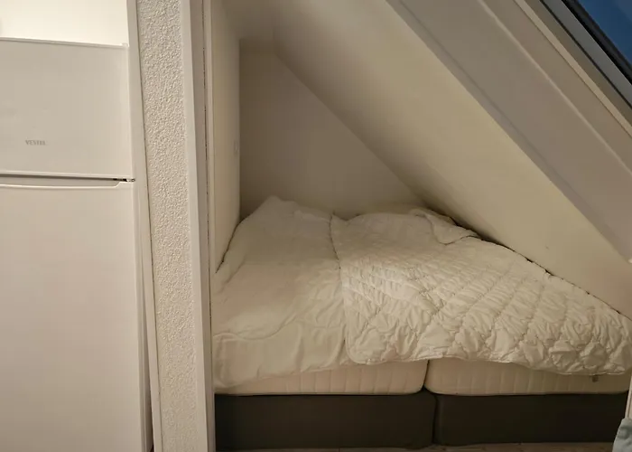 Gruenes Idyll Im Herzen Koelns Kolonia