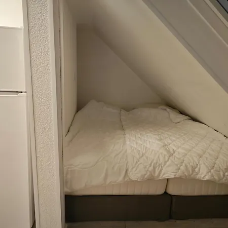 Gruenes Idyll Im Herzen Koelns Cologne