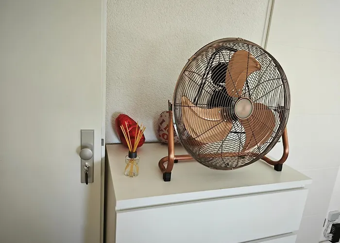 Gruenes Idyll Im Herzen Koelns *